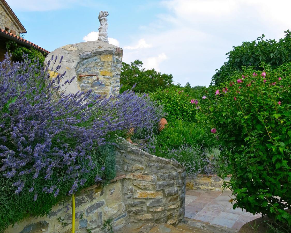 Fonte Magia Bed and Breakfast Castel de' Fiori Exterior foto