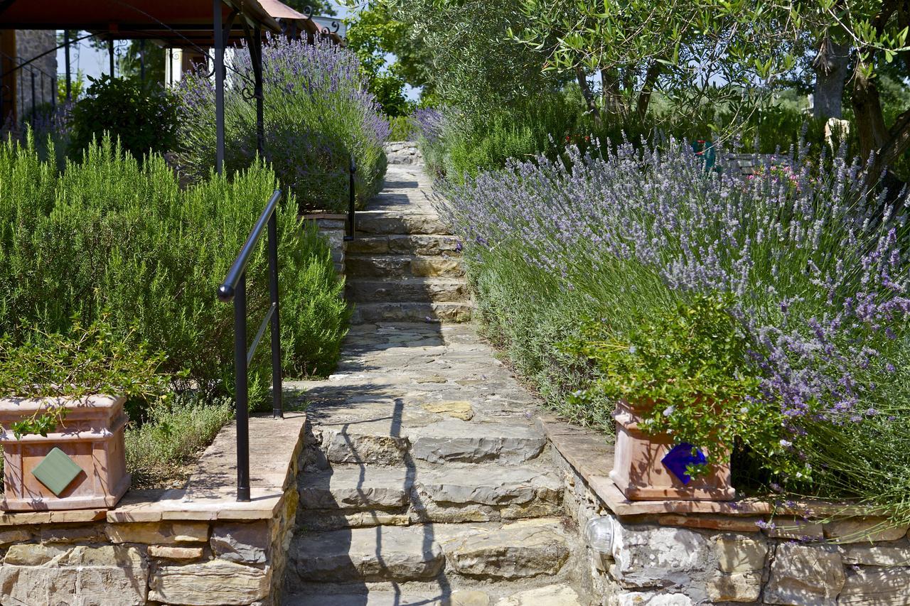 Fonte Magia Bed and Breakfast Castel de' Fiori Exterior foto